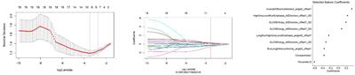 Application Value of Radiomic Nomogram in the Differential Diagnosis of Prostate Cancer and Hyperplasia